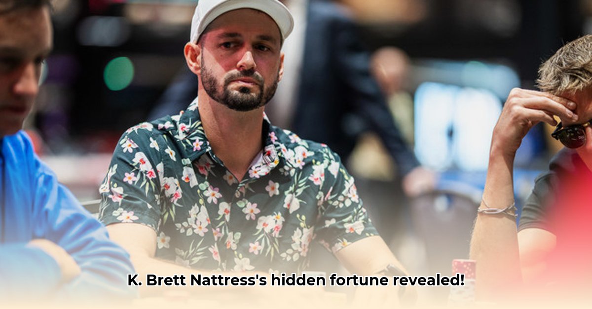 k-brett-nattress-net-worth